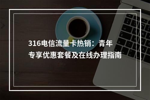 316电信流量卡热销：青年专享优惠套餐及在线办理指南