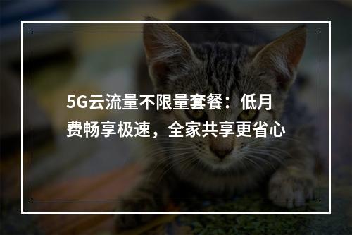 5G云流量不限量套餐：低月费畅享极速，全家共享更省心