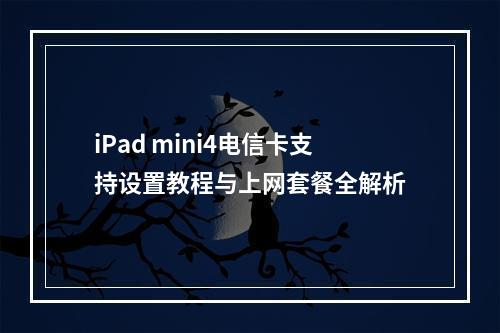 iPad mini4电信卡支持设置教程与上网套餐全解析