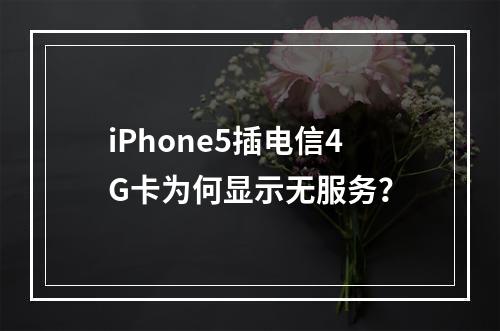 iPhone5插电信4G卡为何显示无服务？