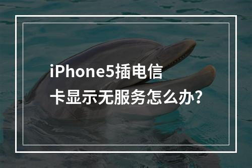 iPhone5插电信卡显示无服务怎么办？