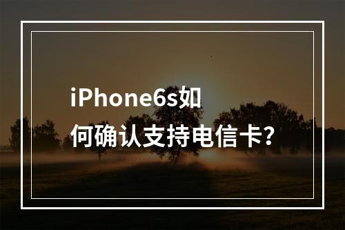 iPhone6s如何确认支持电信卡？