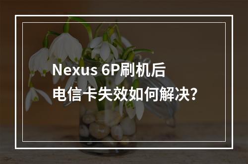 Nexus 6P刷机后电信卡失效如何解决？