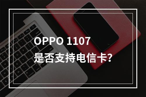 OPPO 1107是否支持电信卡？