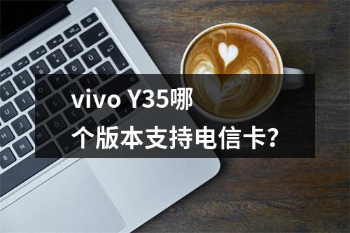 vivo Y35哪个版本支持电信卡？