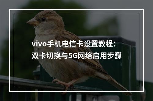 vivo手机电信卡设置教程：双卡切换与5G网络启用步骤