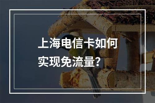 上海电信卡如何实现免流量？