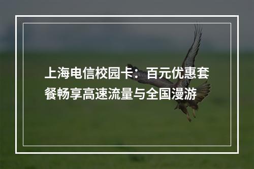 上海电信校园卡：百元优惠套餐畅享高速流量与全国漫游