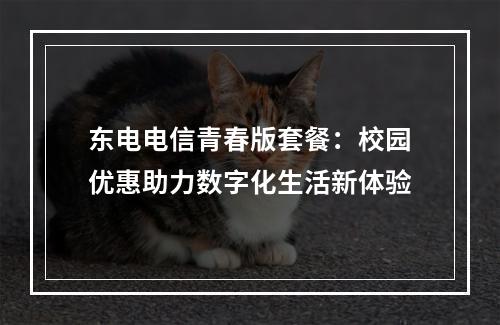 东电电信青春版套餐：校园优惠助力数字化生活新体验