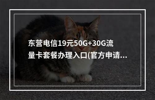 东营电信19元50G+30G流量卡套餐办理入口(官方申请)
