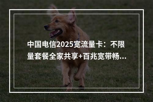 中国电信2025宽流量卡：不限量套餐全家共享+百兆宽带畅享