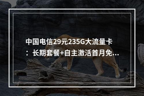 中国电信29元235G大流量卡：长期套餐+自主激活首月免费