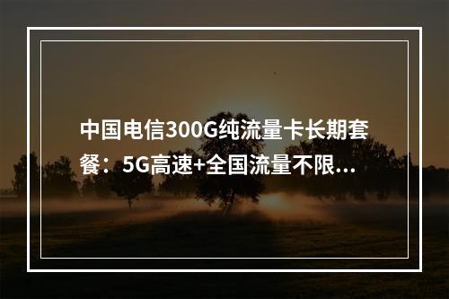 中国电信300G纯流量卡长期套餐：5G高速+全国流量不限速