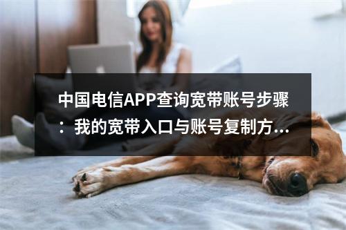 中国电信APP查询宽带账号步骤：我的宽带入口与账号复制方法