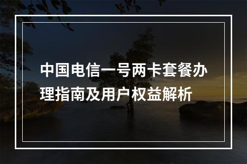 中国电信一号两卡套餐办理指南及用户权益解析
