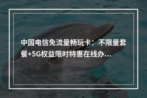 中国电信免流量畅玩卡：不限量套餐+5G权益限时特惠在线办理