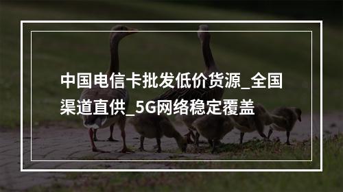 中国电信卡批发低价货源_全国渠道直供_5G网络稳定覆盖