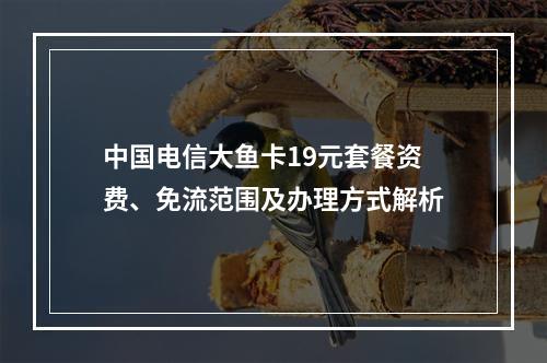 中国电信大鱼卡19元套餐资费、免流范围及办理方式解析