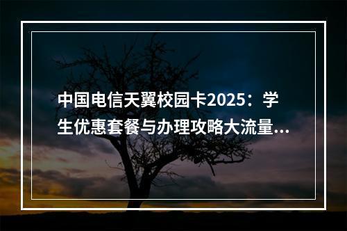 中国电信天翼校园卡2025：学生优惠套餐与办理攻略大流量推荐