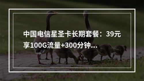 中国电信星圣卡长期套餐：39元享100G流量+300分钟通话