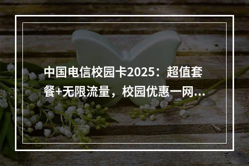 中国电信校园卡2025：超值套餐+无限流量，校园优惠一网打尽