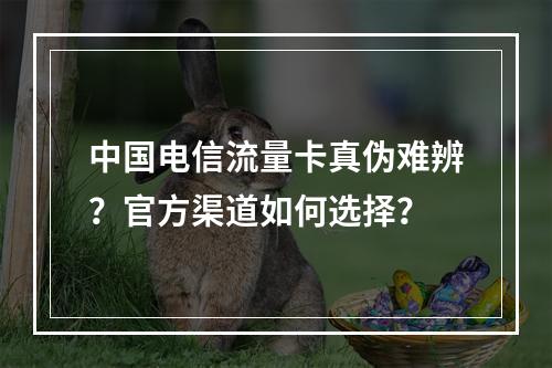 中国电信流量卡真伪难辨？官方渠道如何选择？