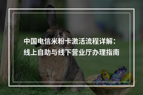 中国电信米粉卡激活流程详解：线上自助与线下营业厅办理指南