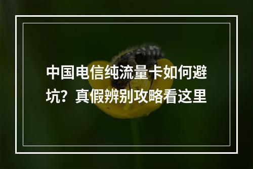 中国电信纯流量卡如何避坑？真假辨别攻略看这里