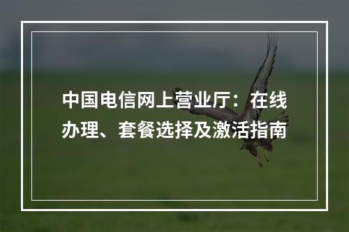 中国电信网上营业厅：在线办理、套餐选择及激活指南