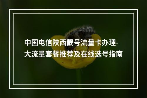 中国电信陕西靓号流量卡办理-大流量套餐推荐及在线选号指南
