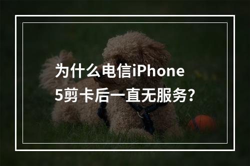 为什么电信iPhone5剪卡后一直无服务？