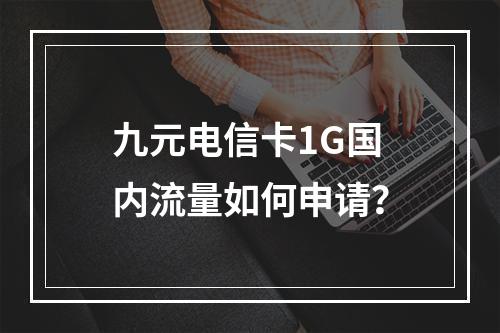 九元电信卡1G国内流量如何申请？