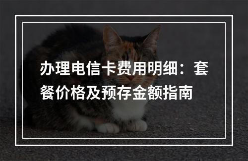 办理电信卡费用明细：套餐价格及预存金额指南