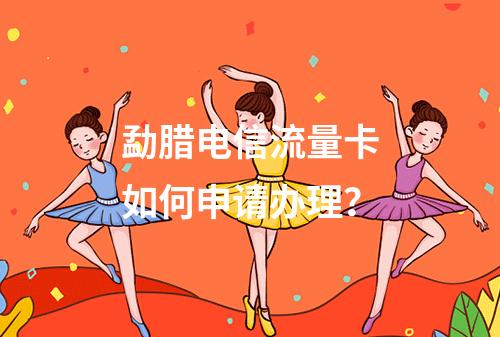 勐腊电信流量卡如何申请办理？