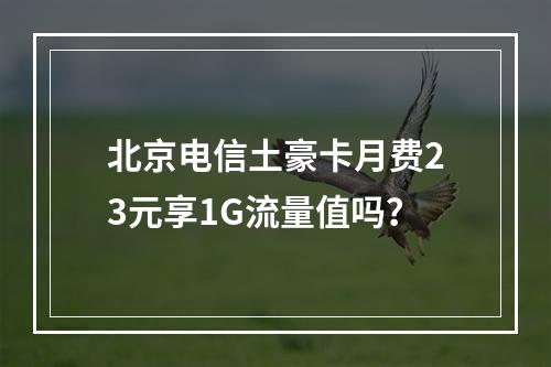 北京电信土豪卡月费23元享1G流量值吗？