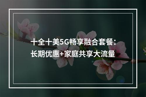 十全十美5G畅享融合套餐：长期优惠+家庭共享大流量