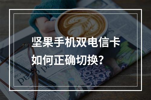 坚果手机双电信卡如何正确切换？