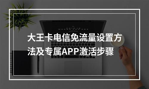 大王卡电信免流量设置方法及专属APP激活步骤