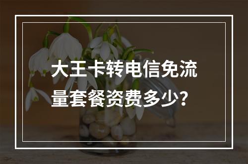 大王卡转电信免流量套餐资费多少？