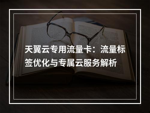 天翼云专用流量卡：流量标签优化与专属云服务解析