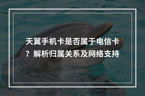 天翼手机卡是否属于电信卡？解析归属关系及网络支持