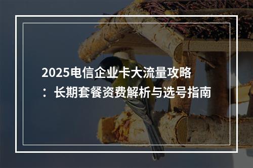 2025电信企业卡大流量攻略：长期套餐资费解析与选号指南