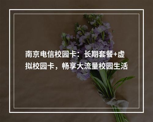 南京电信校园卡：长期套餐+虚拟校园卡，畅享大流量校园生活