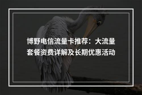博野电信流量卡推荐：大流量套餐资费详解及长期优惠活动