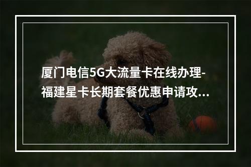 厦门电信5G大流量卡在线办理-福建星卡长期套餐优惠申请攻略