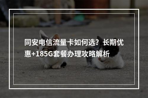 同安电信流量卡如何选？长期优惠+185G套餐办理攻略解析