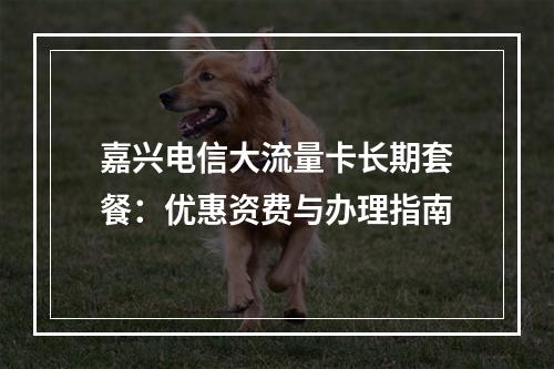 嘉兴电信大流量卡长期套餐：优惠资费与办理指南