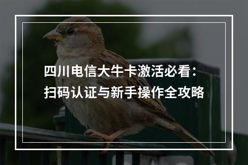 四川电信大牛卡激活必看：扫码认证与新手操作全攻略