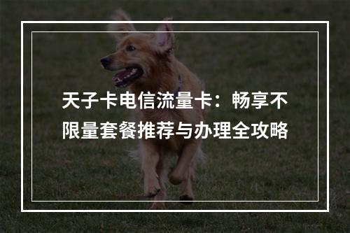 天子卡电信流量卡：畅享不限量套餐推荐与办理全攻略