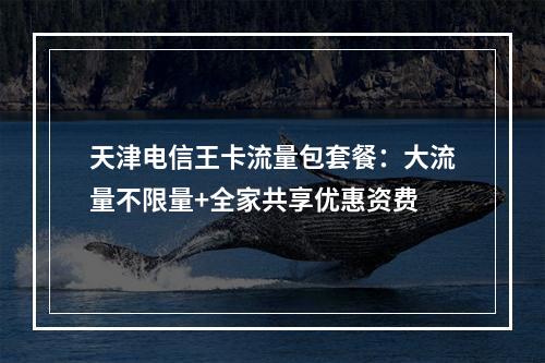 天津电信王卡流量包套餐：大流量不限量+全家共享优惠资费